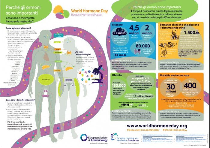 World Hormone Day, AME accende i riflettori sugli interferenti endocrini